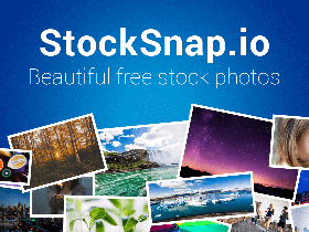 StockSnap 第一免费的照片分享网站，完全免费